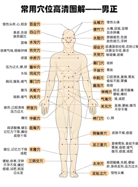 新款人体学位图卧室玄关