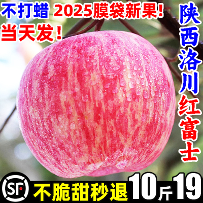 【顺丰】洛川红富士苹果10斤19.8