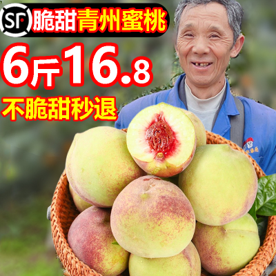 【顺丰】正宗脆甜青州蜜桃6斤16