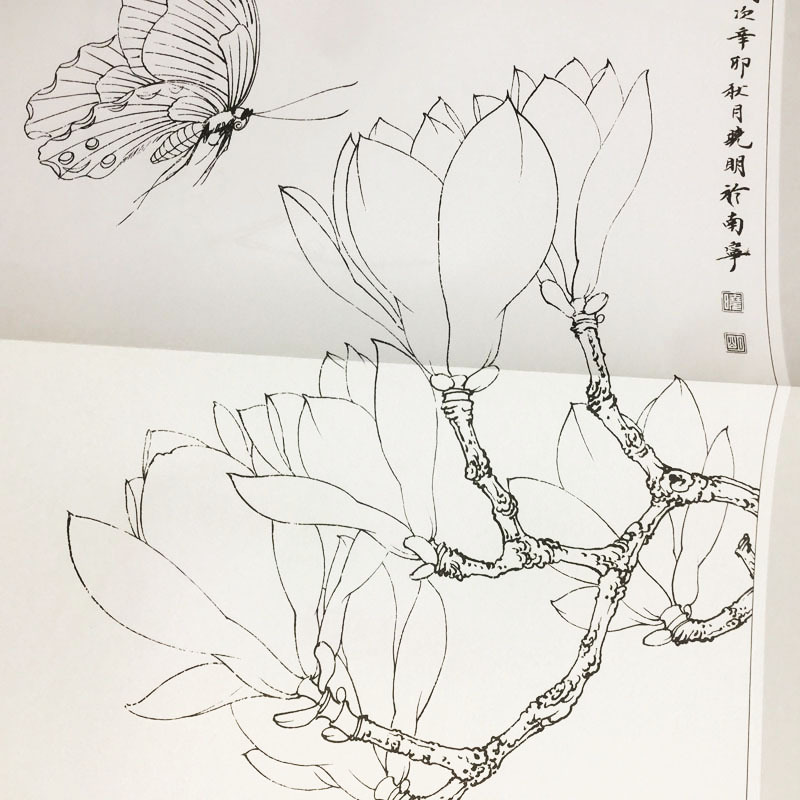 初学者工笔画白描底稿