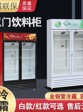 京丞保鲜饮料柜啤酒柜展示柜冰柜