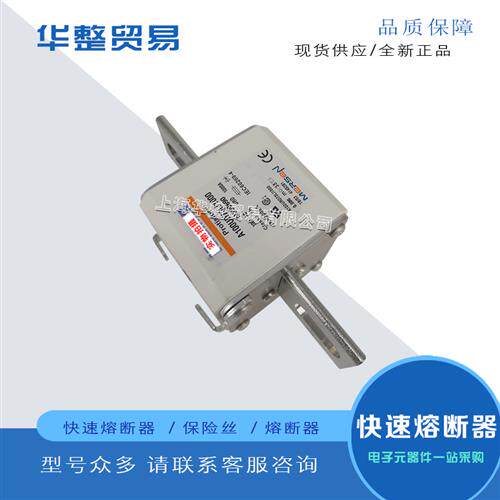 全新快速熔断器A100UD73LI1000 M300690 A100UD73LI1100 N300691