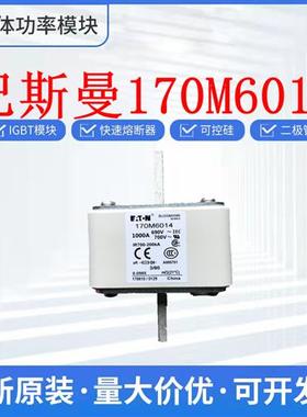 全新巴斯曼 170M6018 170M6019 170M6020 170M6021  保险丝