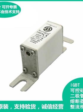 全新原装进口Bussmann保险丝 170M1317 100A 690V~700V快断熔断器