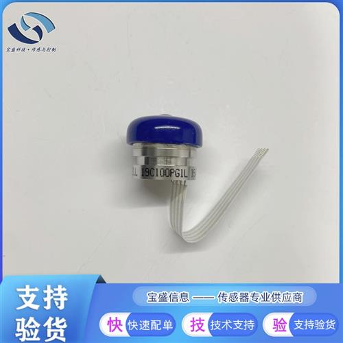 议价19C100PG1L压力传感器0.25 % 0to100mV 19C300PG1L  19C500PG