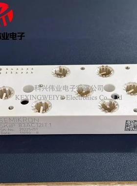 SKIIP82AC12IT1 SKIIP82AC128IT1 SKIIP83AC12IT SKIIP83AC12T4IT