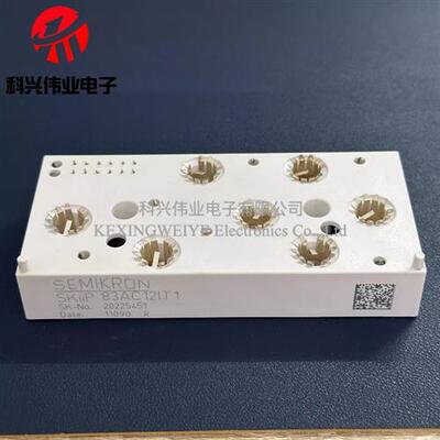 SKIIP82AC12IT1 SKIIP82AC128IT1 SKIIP83AC12IT SKIIP83AC12T4IT