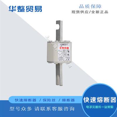 巴斯曼全新原装正品快速熔断器保险丝170M3208 170M3209 170M3210