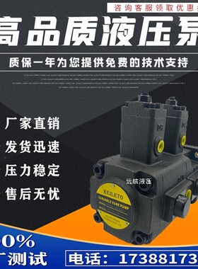新款叶片泵VP40-40-FA3 VP30-30-FA3 VP-40-40 液压变现货