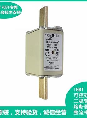全新原装进口Bussmann保险丝 170M3813D 690V~700V快断熔断器