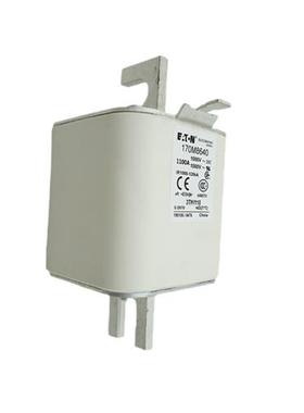 170M3810D 170M3811D 170M3812D 170M3813D 170M3814D快速熔断器