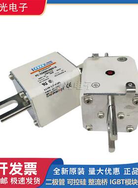 罗兰A110UD72TTI700 A110UD72TTI800熔断器 原装特价,现货直销