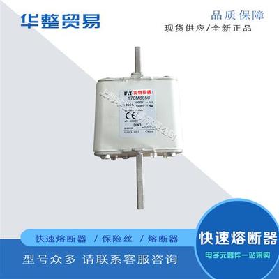 巴斯曼快速熔断器保险丝170M8621 170M8622 170M8623 170M8624