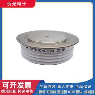 模块SM30CXC824/T358N12TOF/T459N16TOF/T508N16TOF/T560N16TOF
