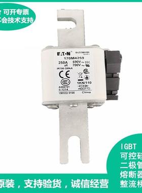 欢迎咨询170M4259美国Bussmann巴斯曼170M4259快速熔断器保险丝