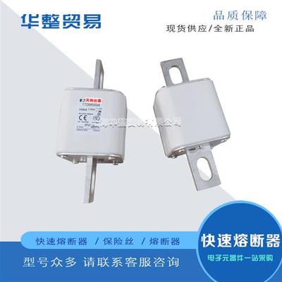 巴斯曼快速熔断器170M6693 170M6694 170M6695 170M6696