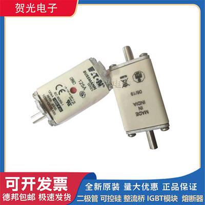 80NHG02B 100NHG02B 125NHG02B 160NHG02B全新熔断器现货
