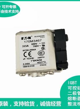 170M3165/3166/3167/3168/3169/3170/3171/3172/3173熔断器保险丝