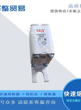 巴斯曼全新原装正品快速熔断器保险丝170M2621