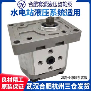 CBT 新款 CFB齿轮油泵合肥赛源水电站液压长源CBF F306 CB现货 CBW