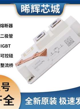 SKM800GA176D SKM800GA173D SKM800GA174D IGBT模块 极速发货
