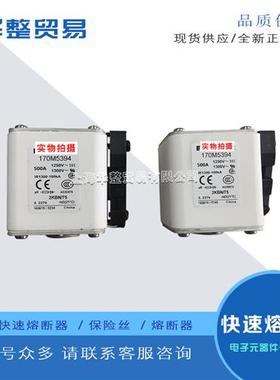 巴斯曼快速熔断器170M5388 170M5389 170M5390 170M5391