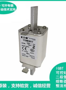 美国Bussmann170M3817 170M3816快速熔断器保险丝