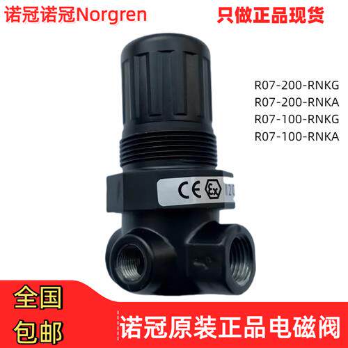 议价R07-200-RNKG调减压阀100/RNKA/RNEG/RNAG/RNKB/R