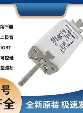 巴斯曼170M3816 快速熔断器 保险丝 极速发货 现货可直拍