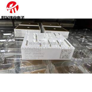 SKIIP28ANB16V1 SKIIP28ANB16V2 SKIIP28AN16V2 全新原装