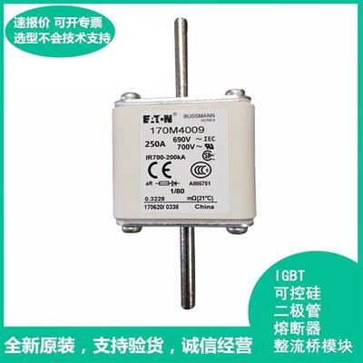 巴斯曼 170M4018 快速熔断器 极速发货 现货可直拍