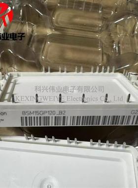 BSM15GP120-B2 BSM25GP120-B2 BSM10GP120 BSM35GP120原装现货