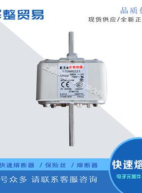 巴斯曼全新原装快速熔断器 170M6229
