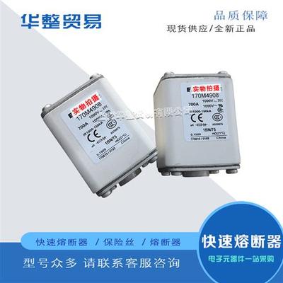 巴斯曼全新原装快速熔断器170M4952 170M4953 170M4954