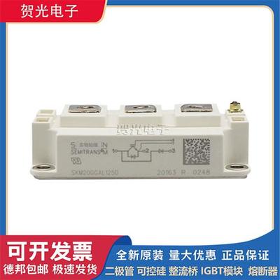 SKM200GB/GAR/GAL12T4/12V/E4/123/124/126/125/128/176D功率IGBT