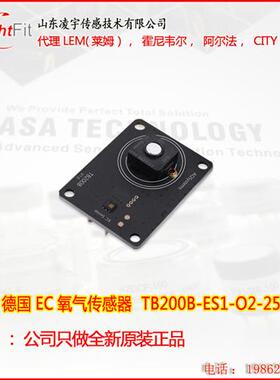 H2氢气氧气模组CL2模组