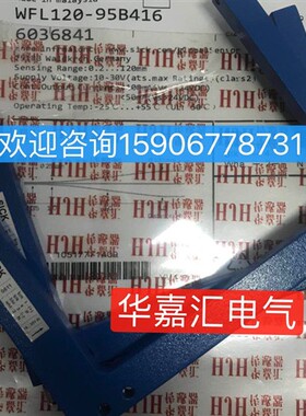 WFL120-95B416 WFL30-95B416WF80-60B410WFM120-120P321F45槽形传
