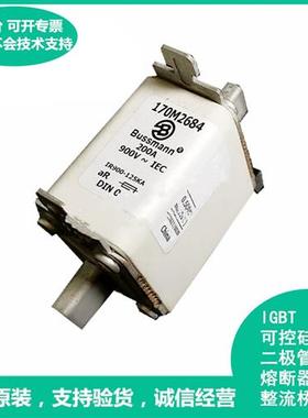 全新原装正品美国伊顿Bussmann巴斯曼快速熔断器170M2684现货供应