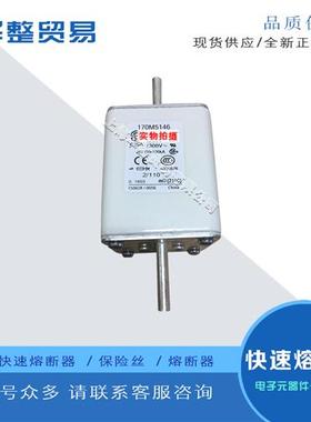 巴斯曼全新原装快速熔断器170M5138 170M5139 170M5140 170M5141