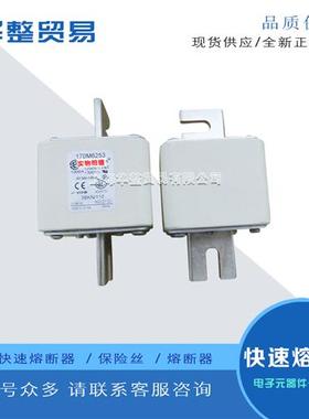 巴斯曼全新原装快速熔断器170M6258 170M6259 170M6260 170M6261