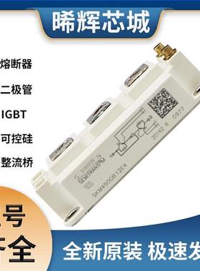 SKM450GB12E4 IGBT 可控硅 晶闸管模块  极速发货 现货可直拍