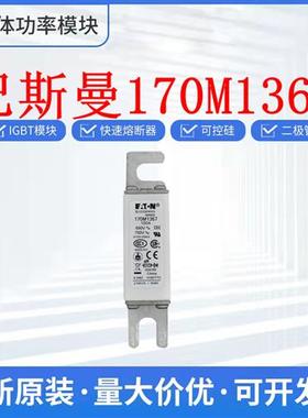 原装全新 170M1366 170M1367 170M1368 170M1369 巴斯曼熔断器