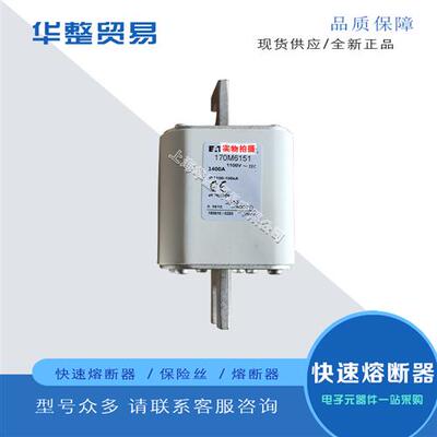 巴斯曼快速熔断器170M5806 170M5807 170M6035 170M6125