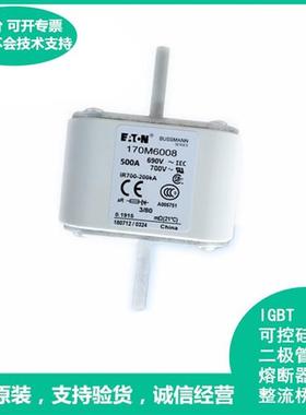 保险丝170M6008-6009-6010-6011-6012-6013-6014-6015现货全新