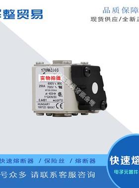 巴斯曼快速熔断器170M3539 170M3540 170M3541 170M4531