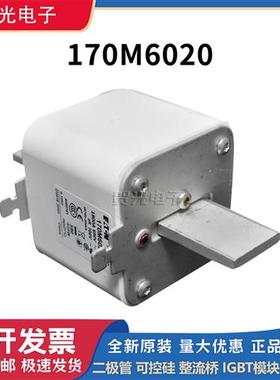 全新现货熔断器170M6019/6020/6021/3108/3109/3110/3111