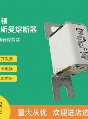 全新快速熔断器保险170M2768 170M2769 170M2770 170M2771