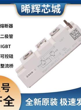 BSM100GB60DLC  可控硅 晶闸管模块 极速发货 现货可直拍