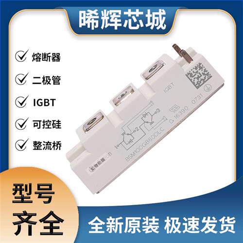 BSM100GB60DLC  可控硅 晶闸管模块 极速发货 现货可直拍