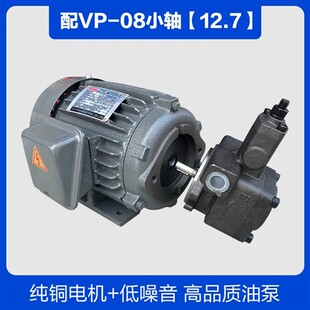 新款液压油泵电机组VP20+0.75KW1.5液压帮浦总成内轴电机液压站现
